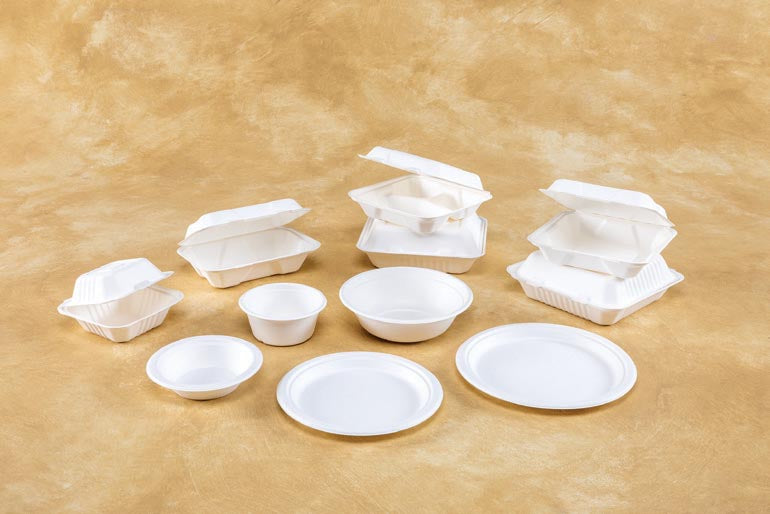 A Beginner’s Guide to Compostable Disposables: What You Need to Know